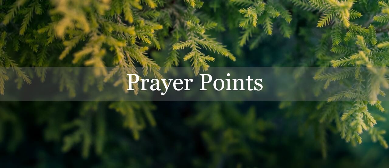 Prayer points Archives - Church in Chennai